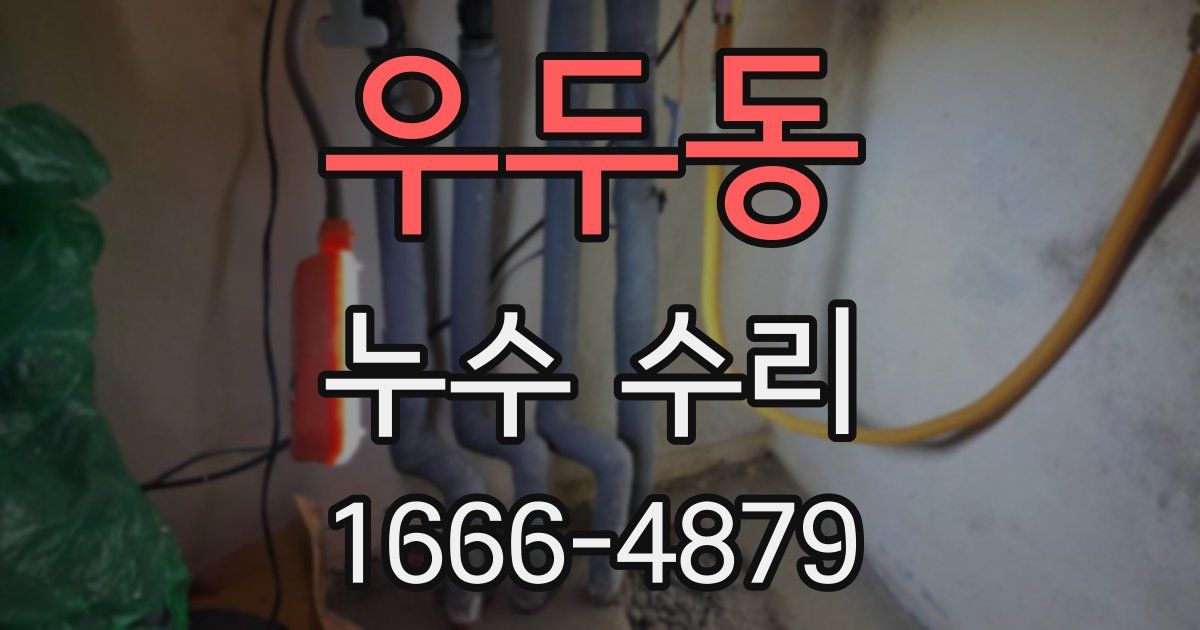 우두동 누수 수리