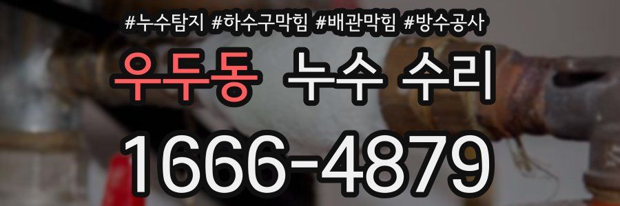 우두동 누수 수리