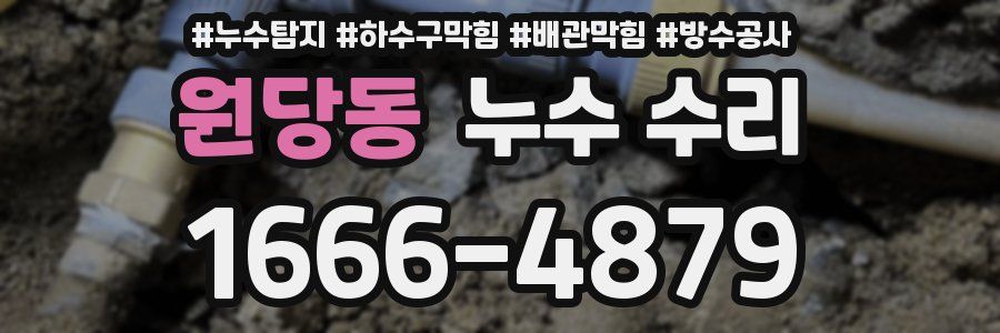 원당동 누수 수리