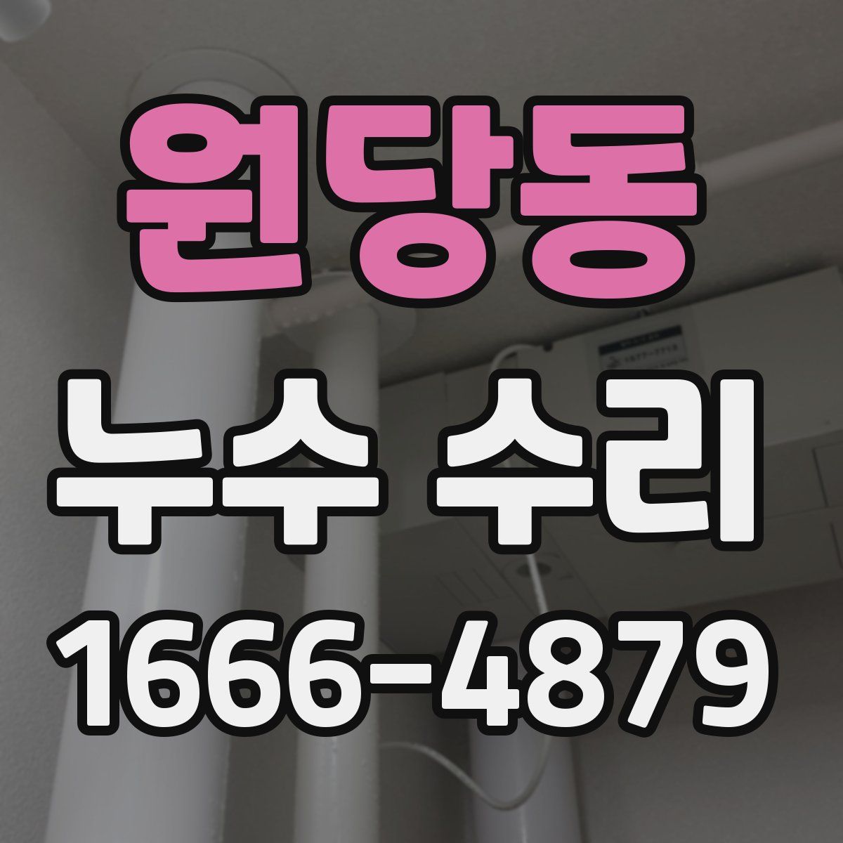 원당동 누수 수리