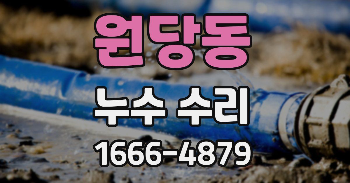 원당동 누수 수리