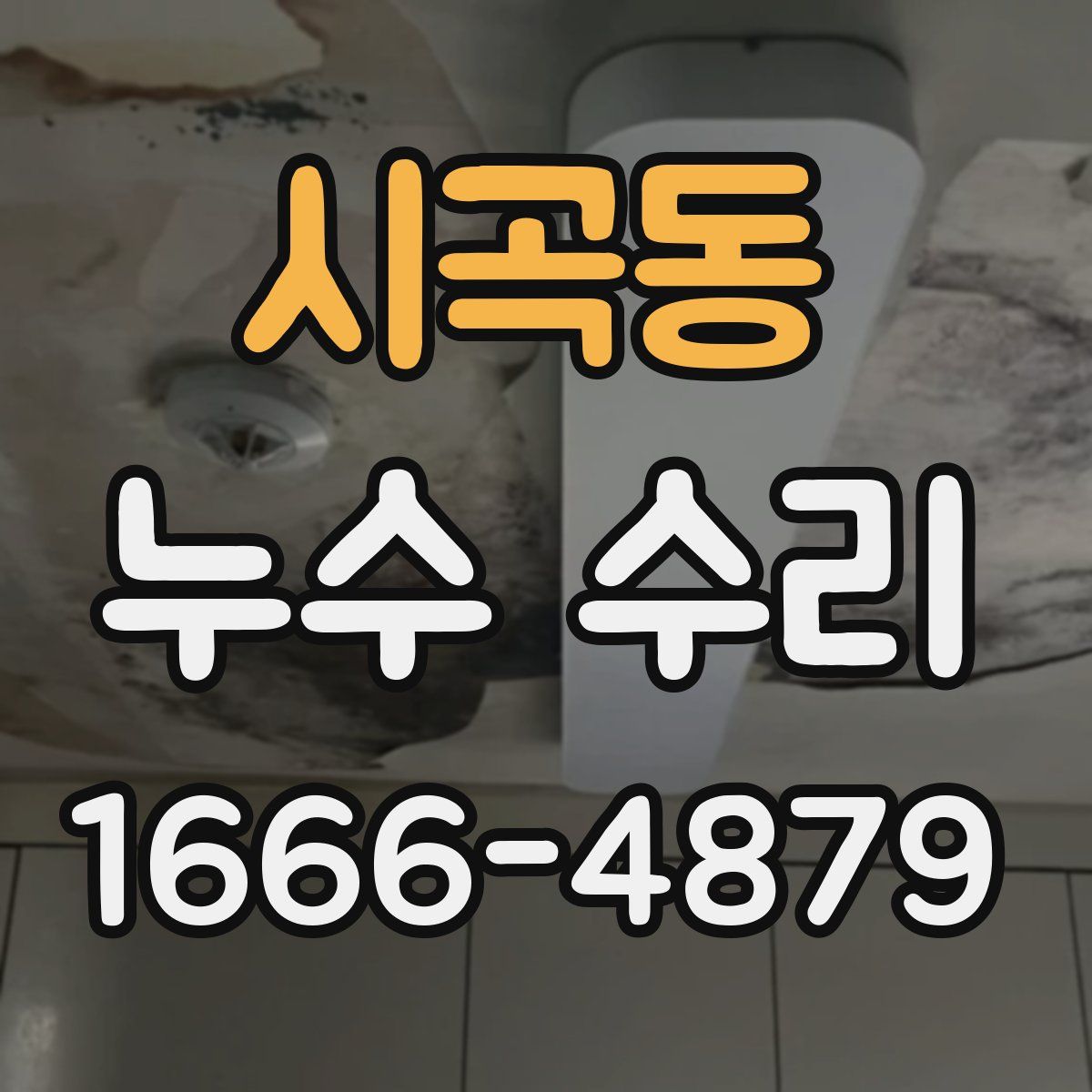 시곡동 누수 수리