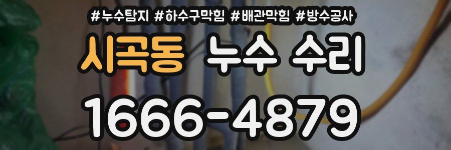 시곡동 누수 수리