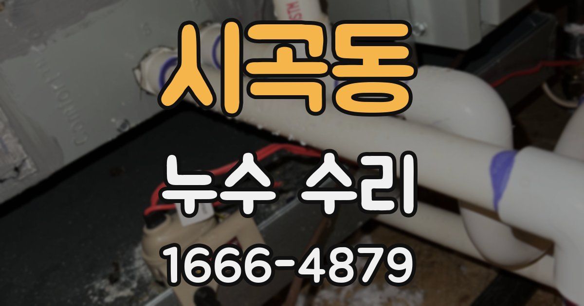 시곡동 누수 수리