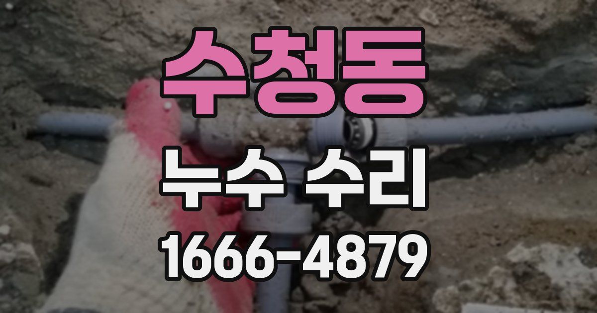 수청동 누수 수리