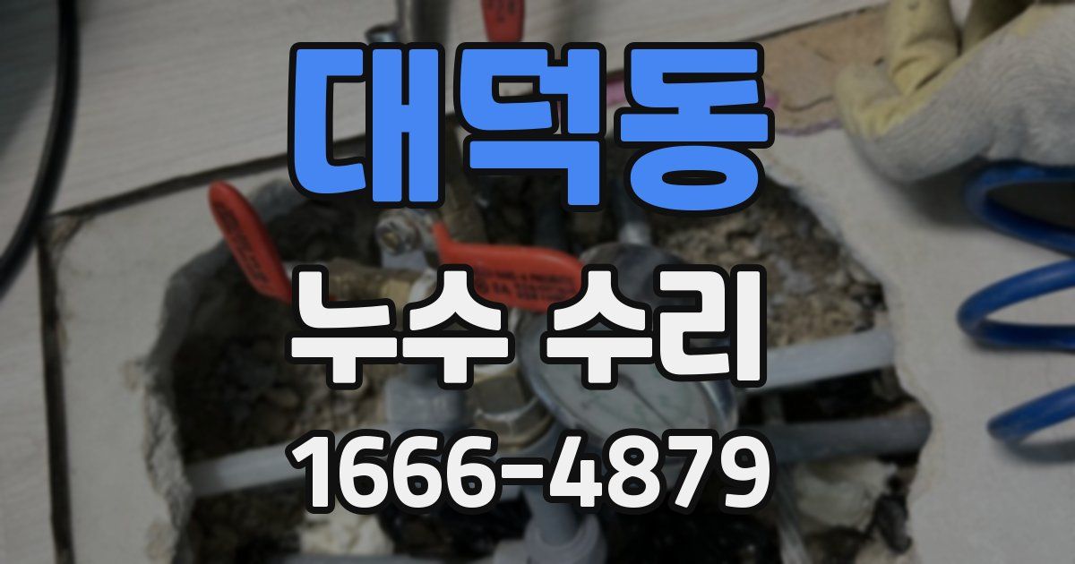 대덕동 누수 수리