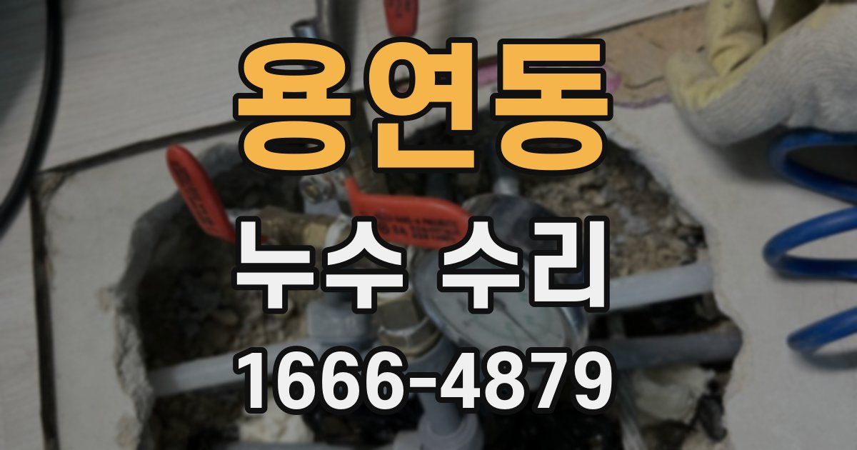 용연동 누수 수리