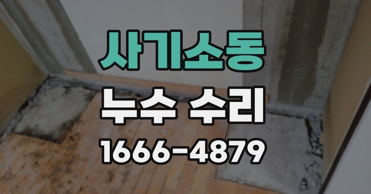 사기소동 누수 수리
