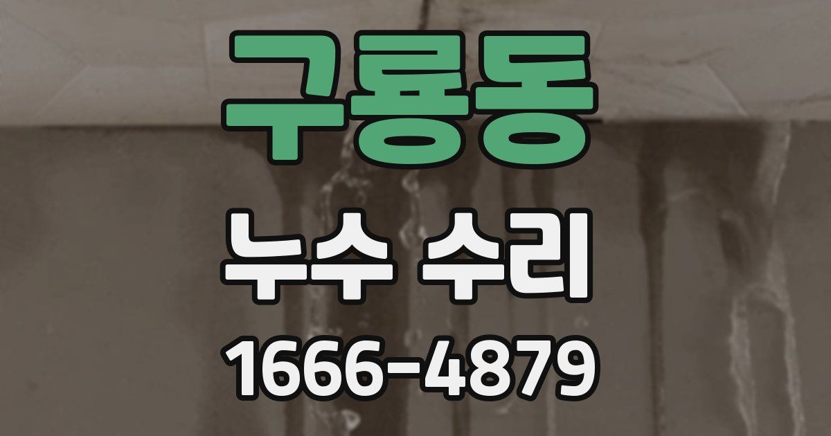 구룡동 누수 수리