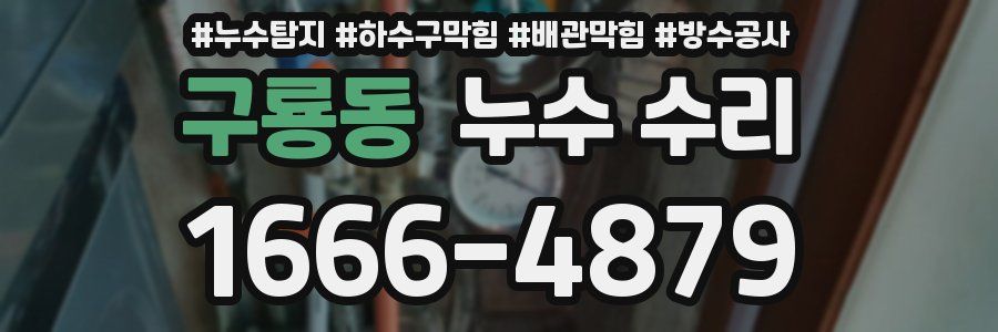 구룡동 누수 수리