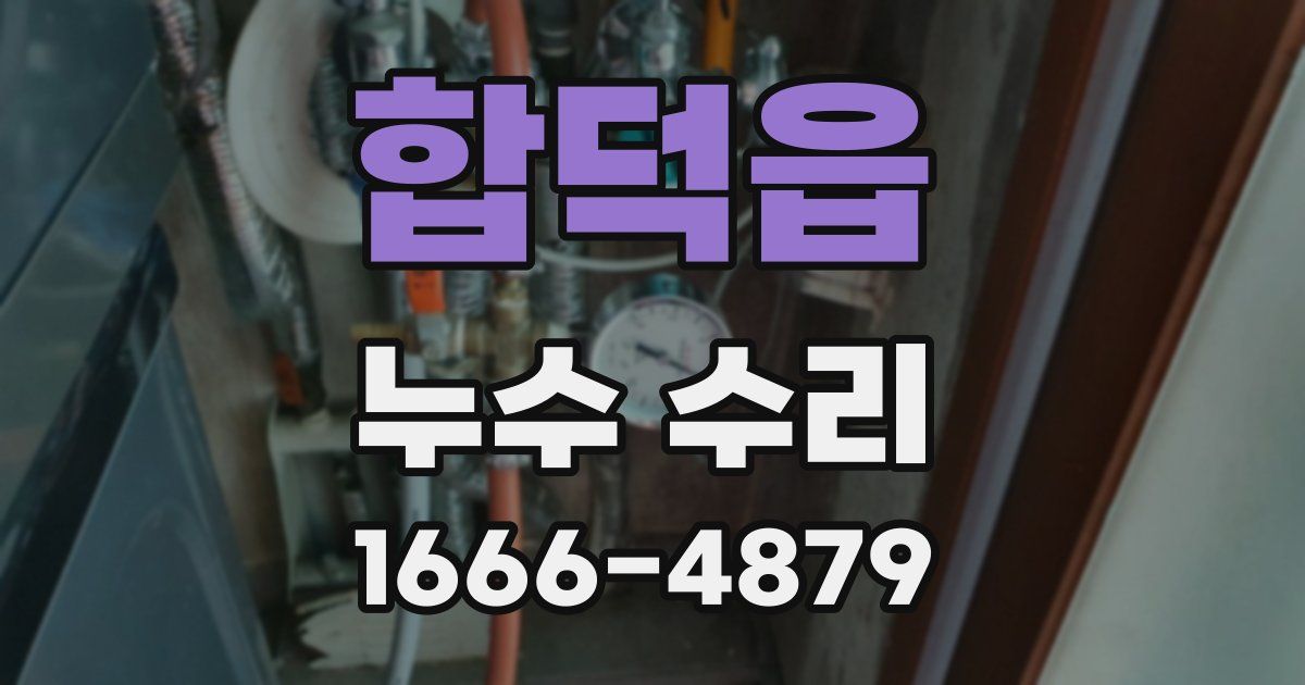 합덕읍 누수 수리
