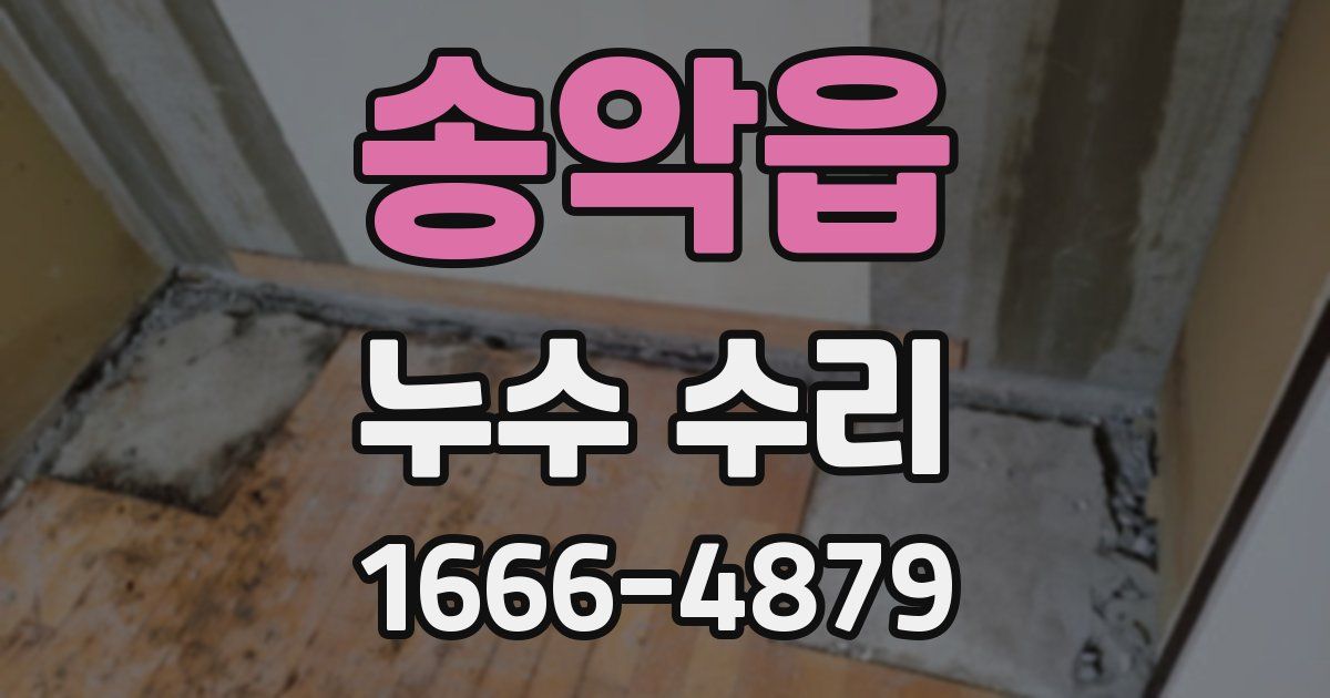 송악읍 누수 수리