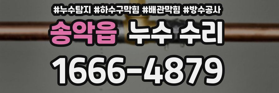 송악읍 누수 수리