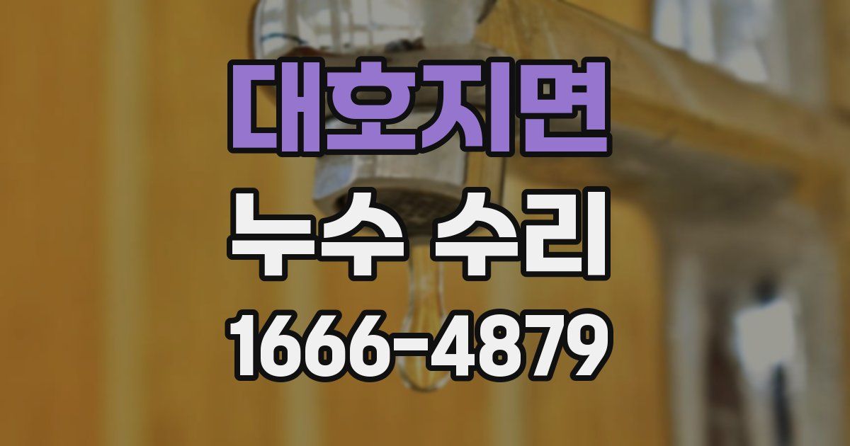 대호지면 누수 수리