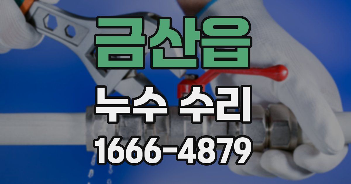 금산읍 누수 수리
