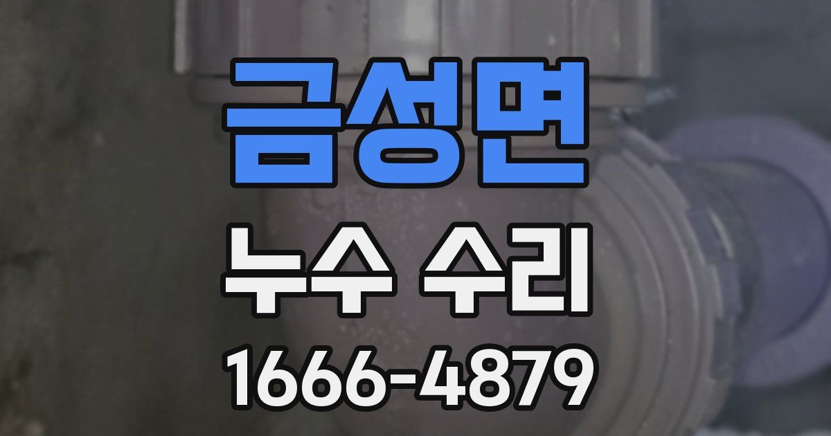 금성면 누수 수리