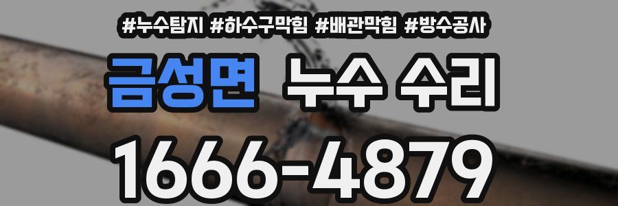 금성면 누수 수리