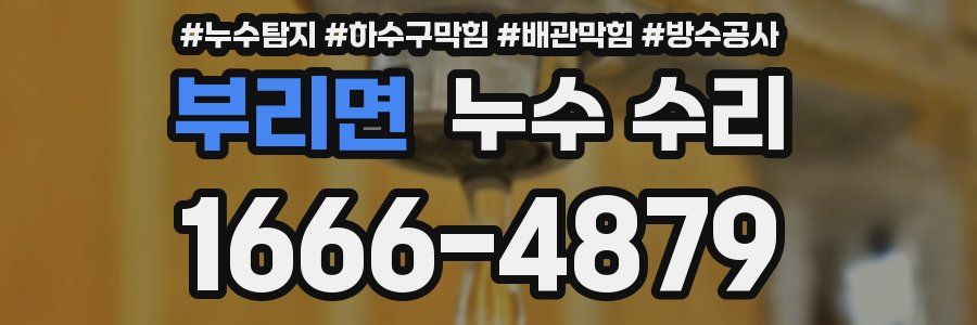 부리면 누수 수리