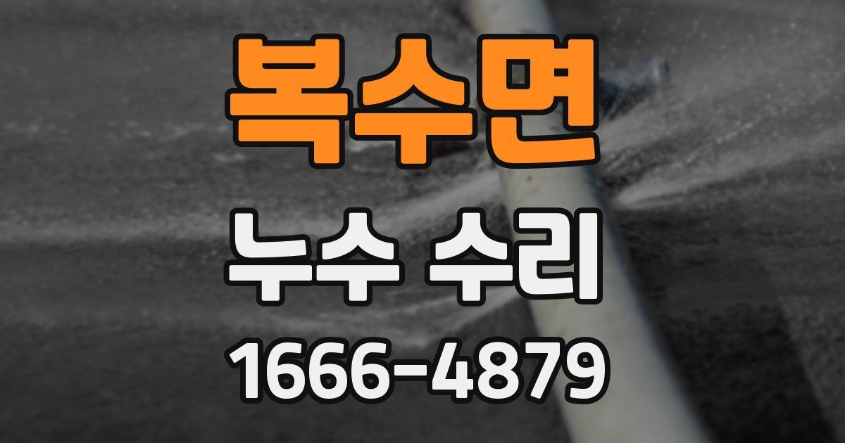 복수면 누수 수리
