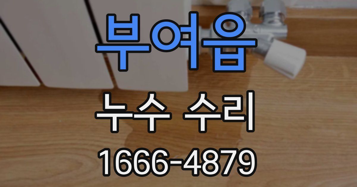 부여읍 누수 수리