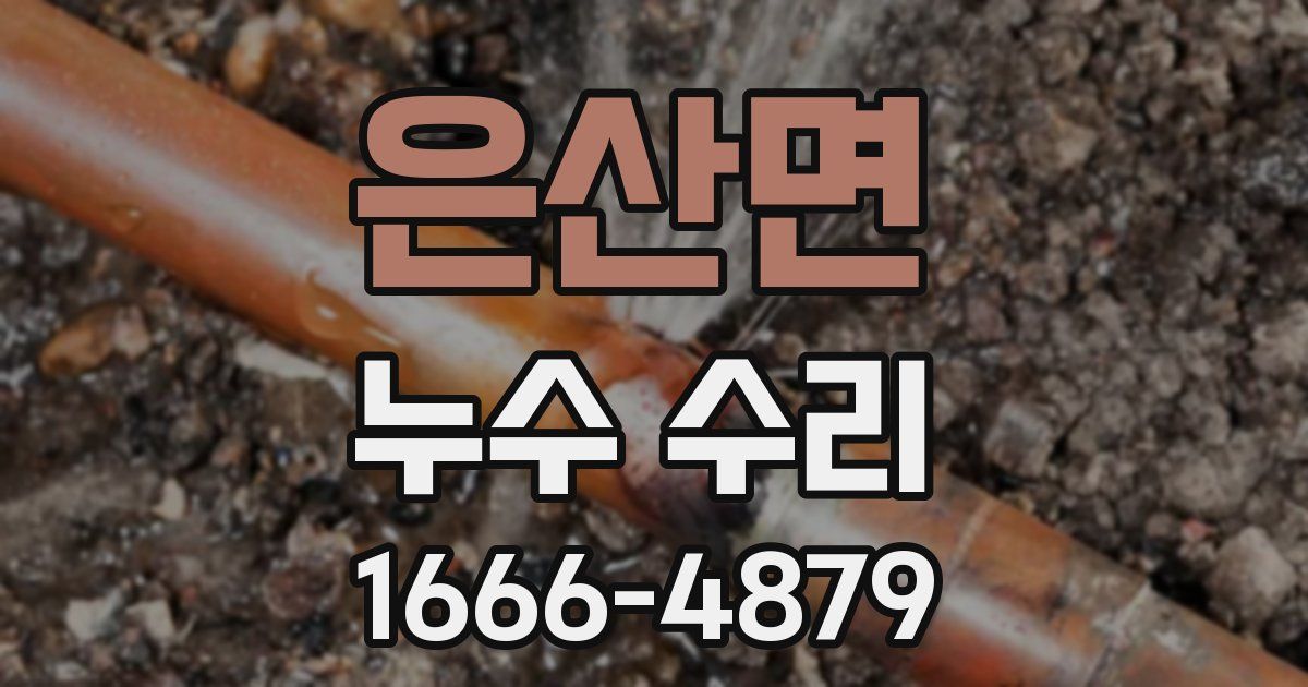 은산면 누수 수리