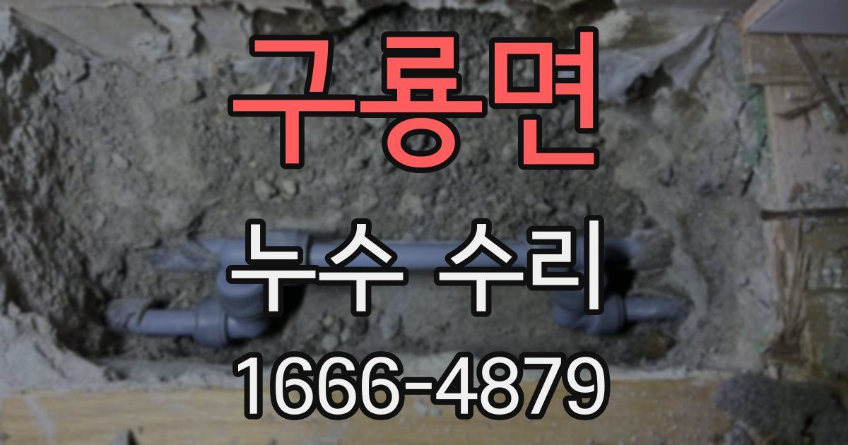 구룡면 누수 수리