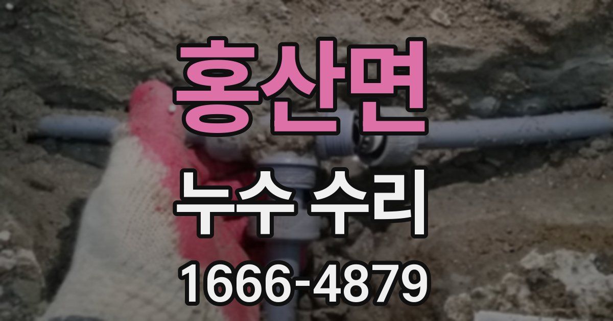 홍산면 누수 수리