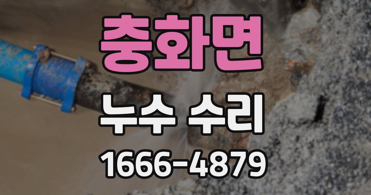 충화면 누수 수리