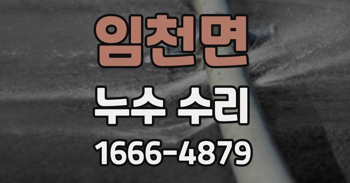 임천면 누수 수리