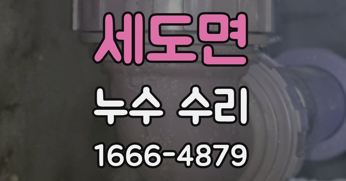 세도면 누수 수리