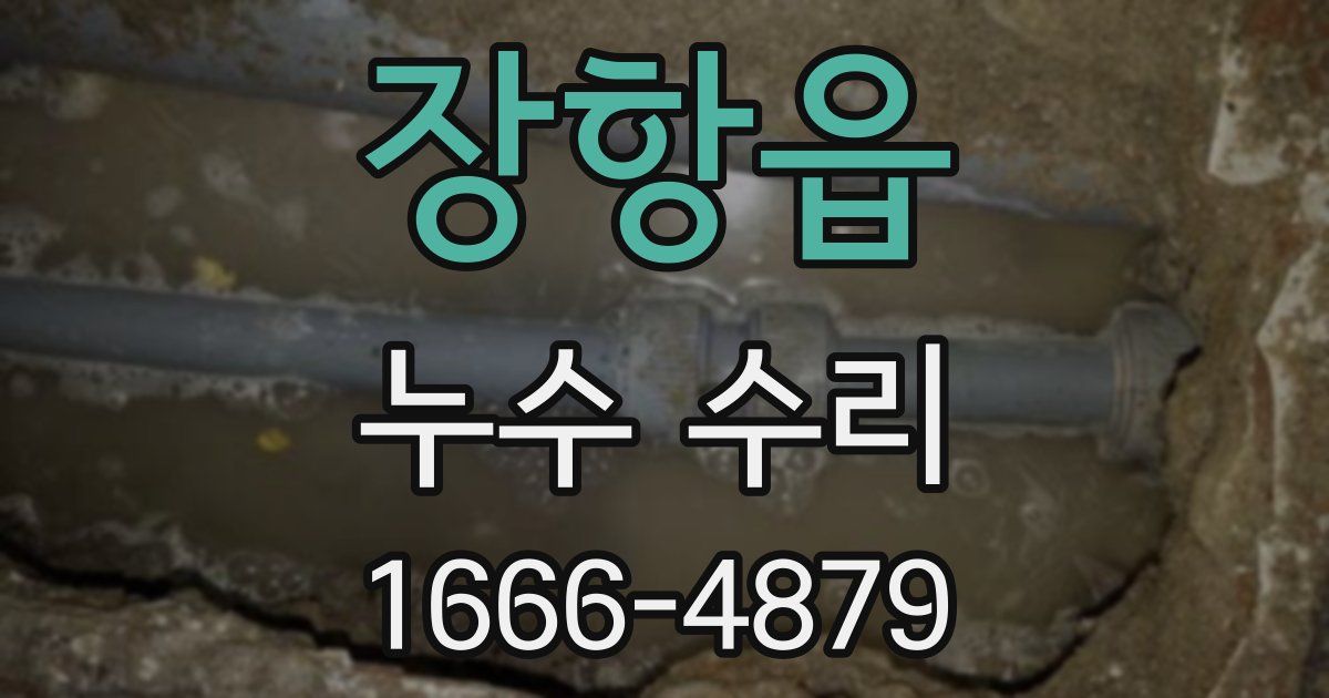 장항읍 누수 수리