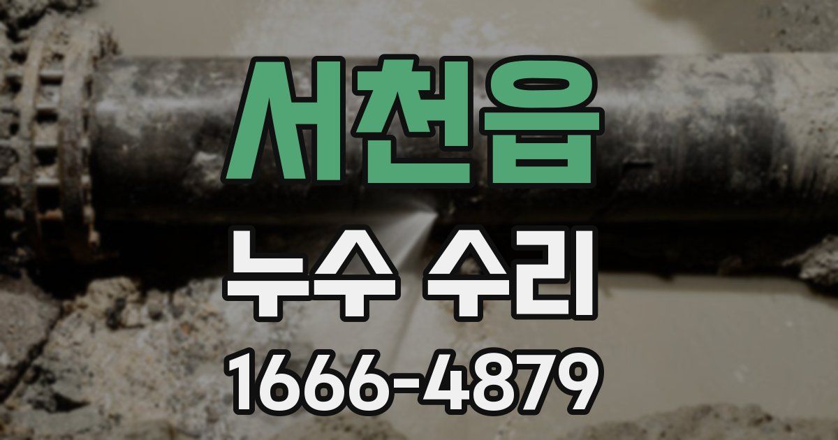 서천읍 누수 수리