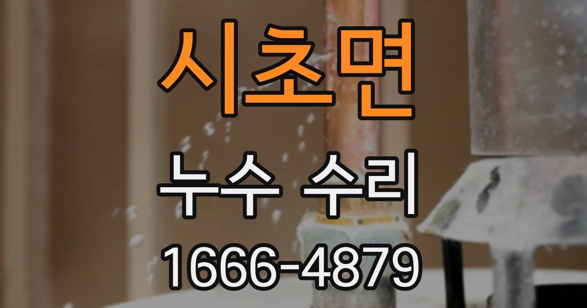 시초면 누수 수리
