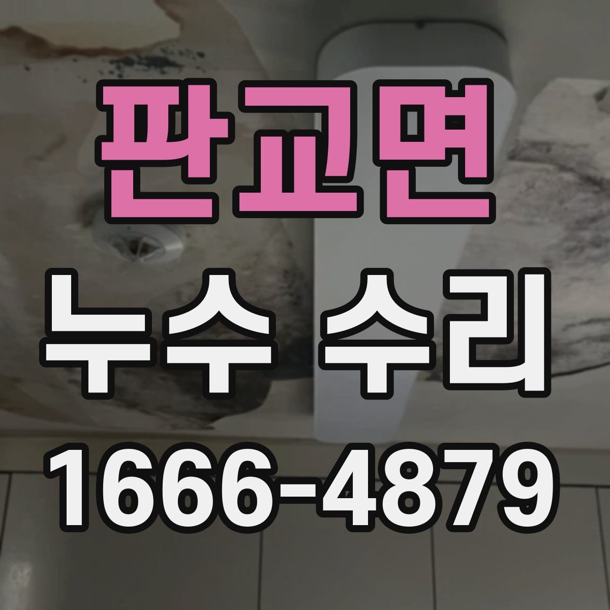 판교면 누수 수리