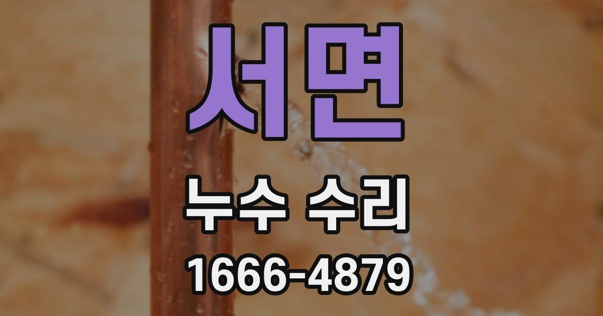 서면 누수 수리