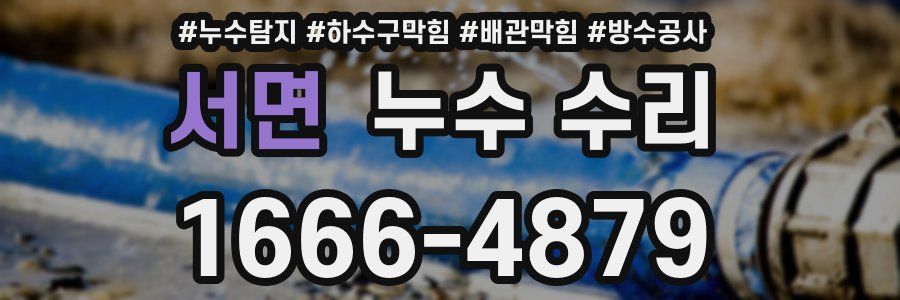 서면 누수 수리