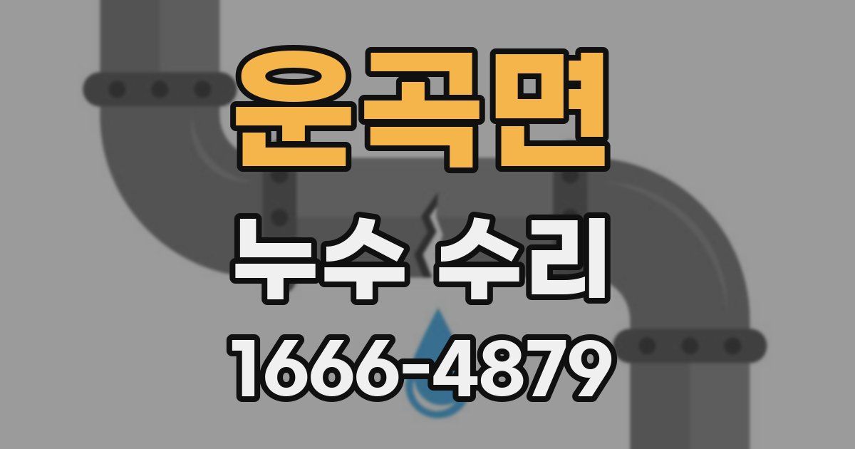 운곡면 누수 수리