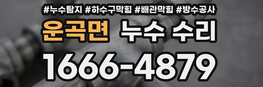 운곡면 누수 수리