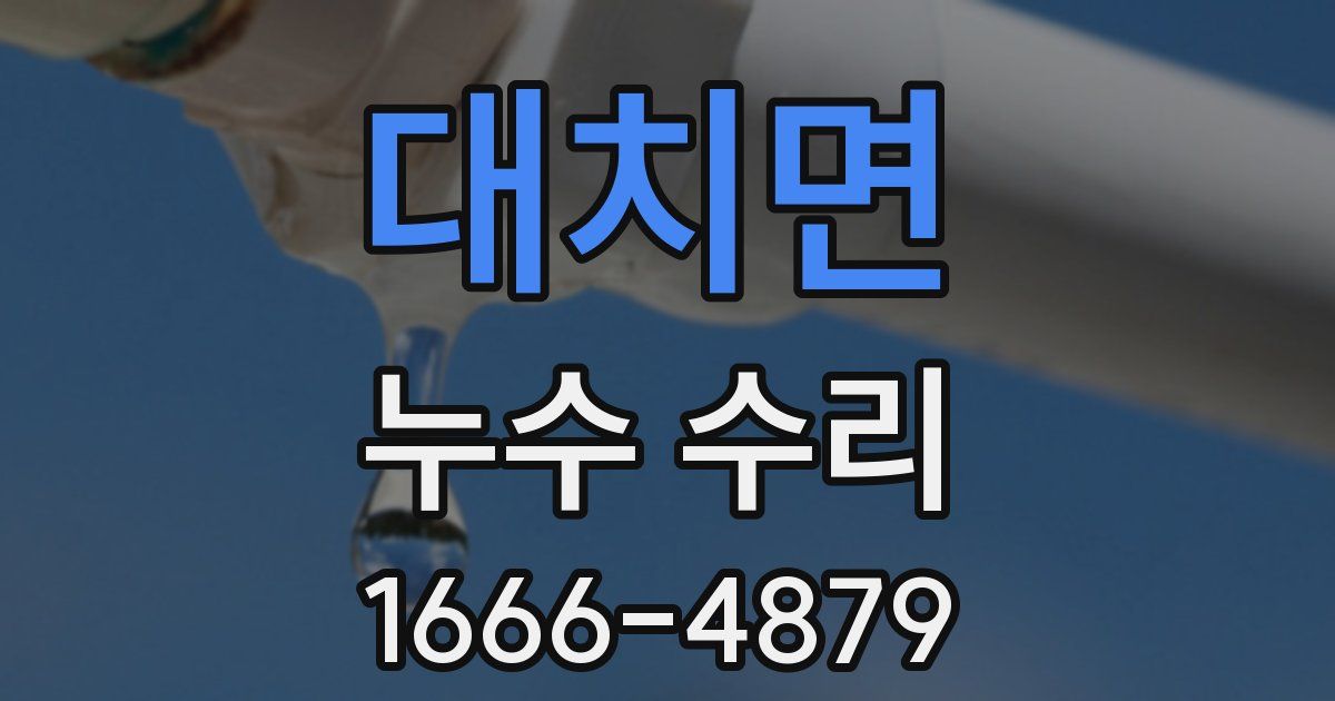 대치면 누수 수리