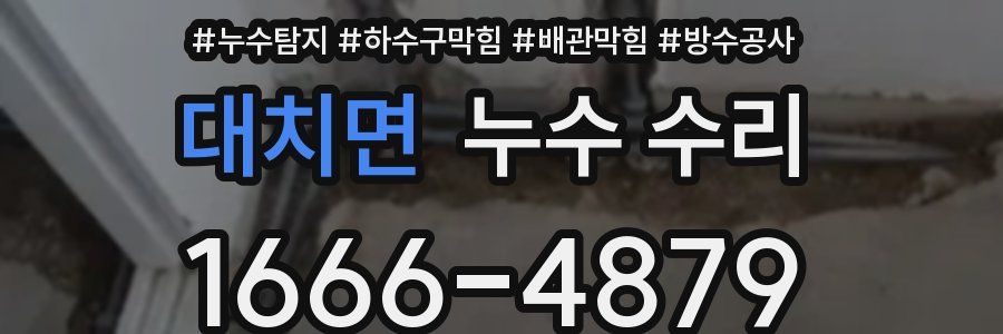 대치면 누수 수리