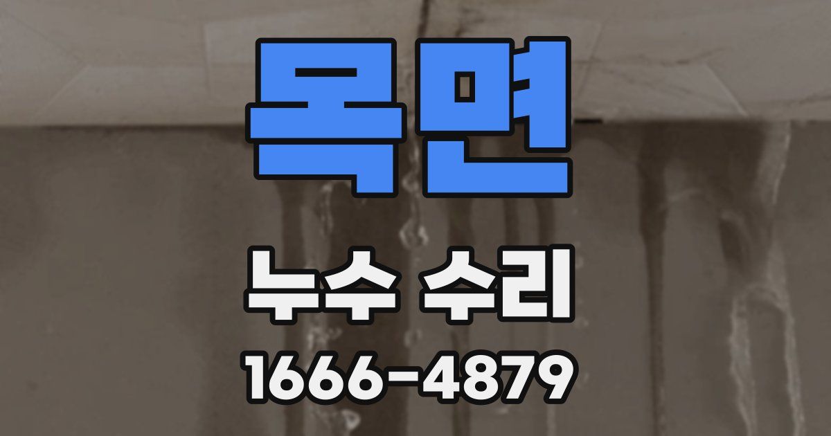 목면 누수 수리