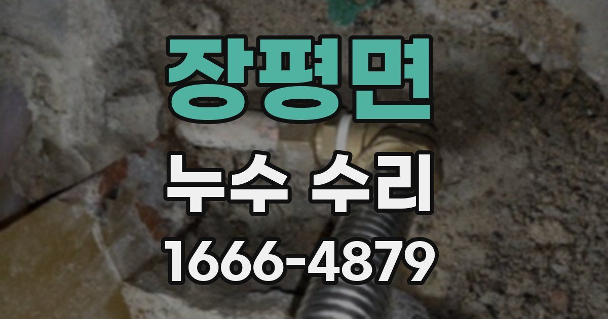 장평면 누수 수리