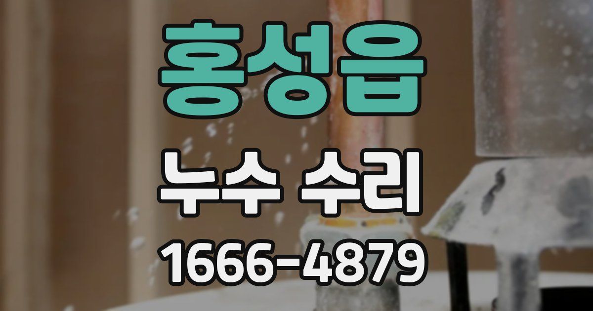 홍성읍 누수 수리