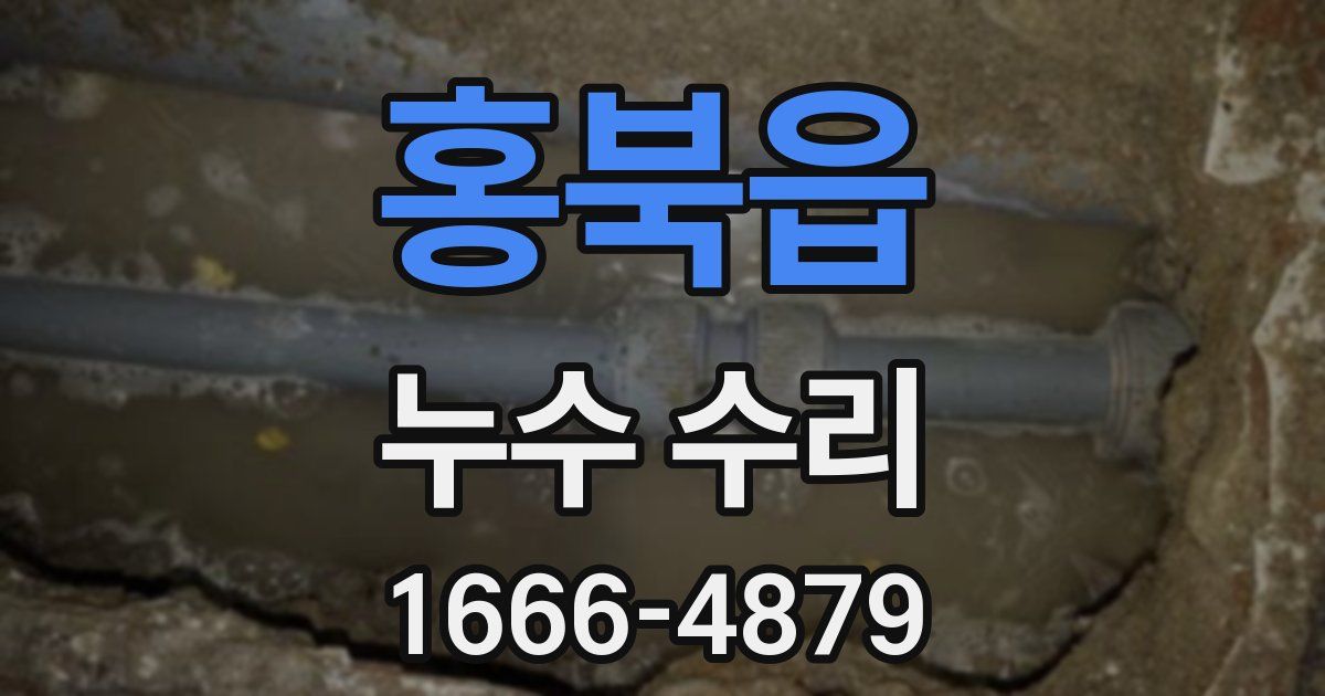홍북읍 누수 수리