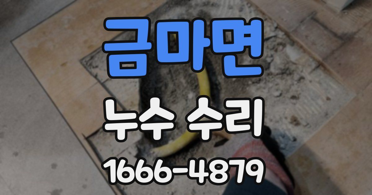 금마면 누수 수리