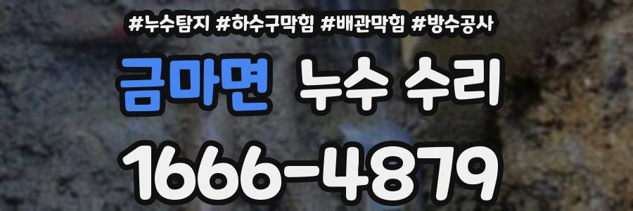 금마면 누수 수리