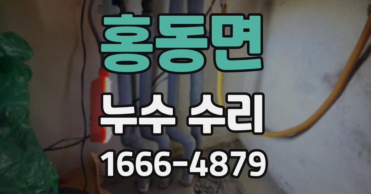 홍동면 누수 수리