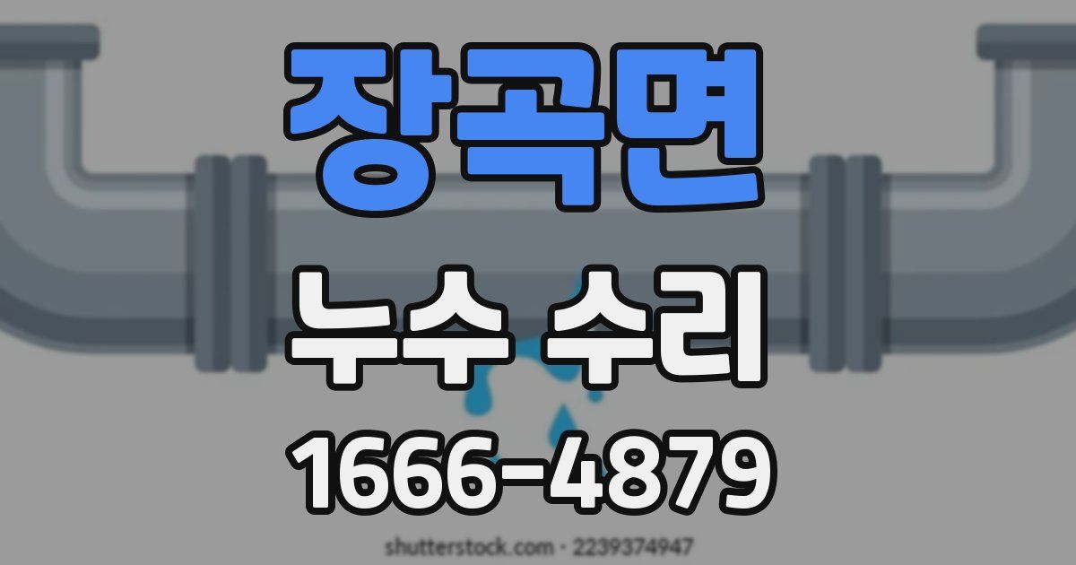 장곡면 누수 수리