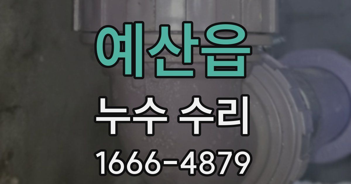 예산읍 누수 수리