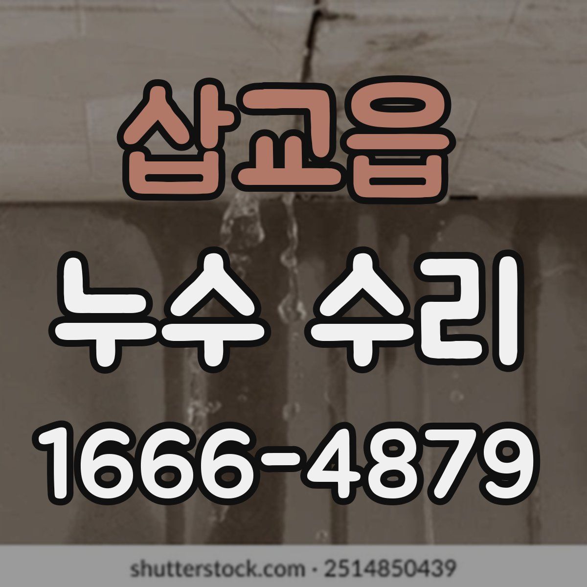 삽교읍 누수 수리